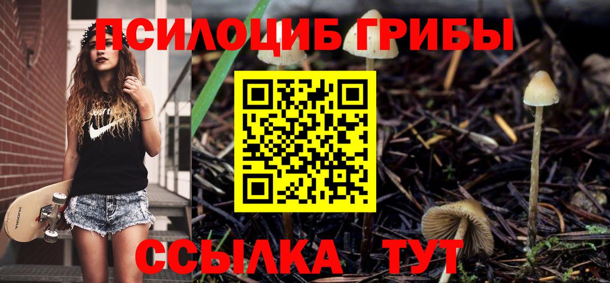 Галлюциногенные грибы мухоморы  Вход с VPN  Прокопьевск 