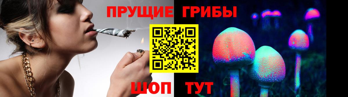 Галлюциногенные грибы GOLDEN TEACHER Прокопьевск